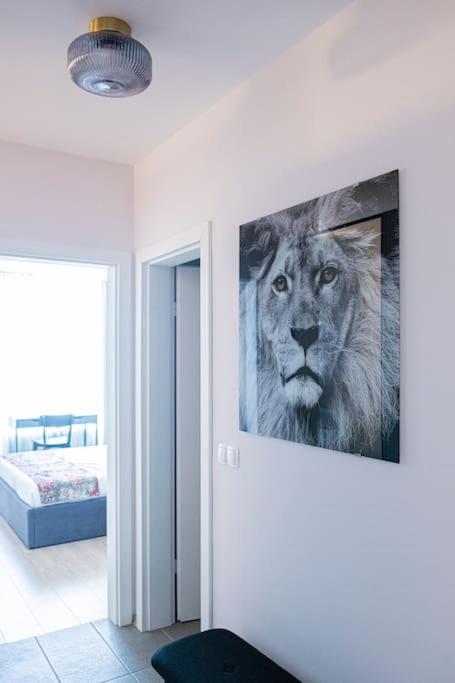 Tokiyo: A Lovely City Center 2 Bedrooms Apartment With Private Parking Sofía Exterior foto